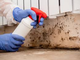 Best Mold Prevention Services  in Hughson, CA